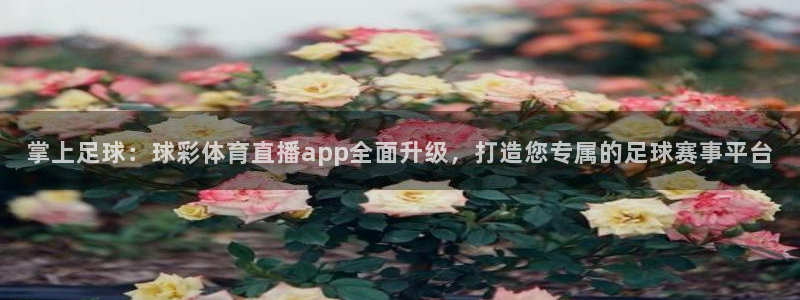 掌上足球：球彩体育直播app全面升级，打造您专属的足球赛事平台