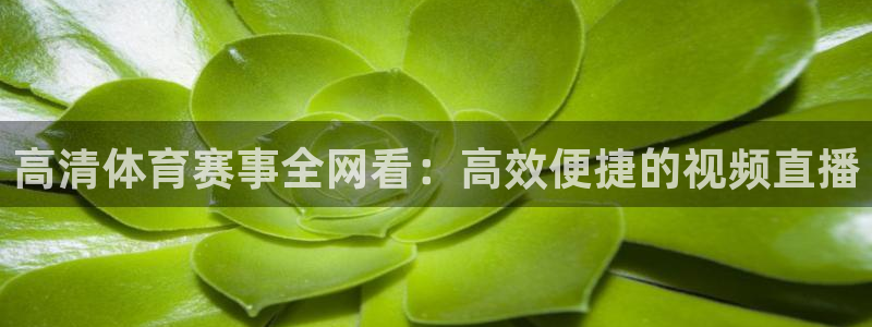 高清体育赛事全网看：高效便捷的视频直播