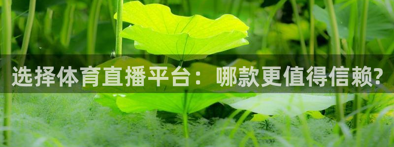 选择体育直播平台：哪款更值得信赖?