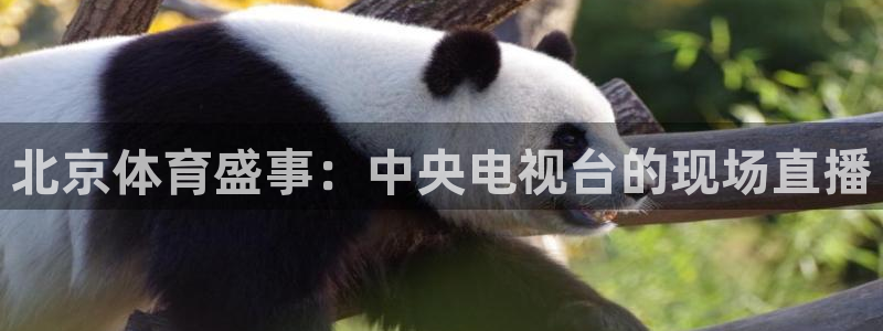 北京体育盛事：中央电视台的现场直播