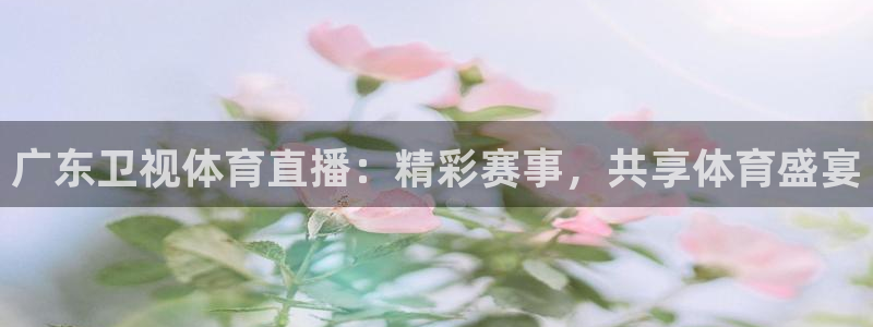 广东卫视体育直播：精彩赛事，共享体育盛宴