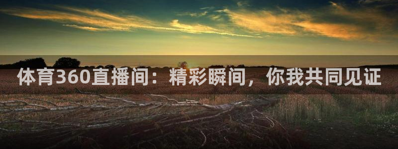 体育360直播间：精彩瞬间，你我共同见证