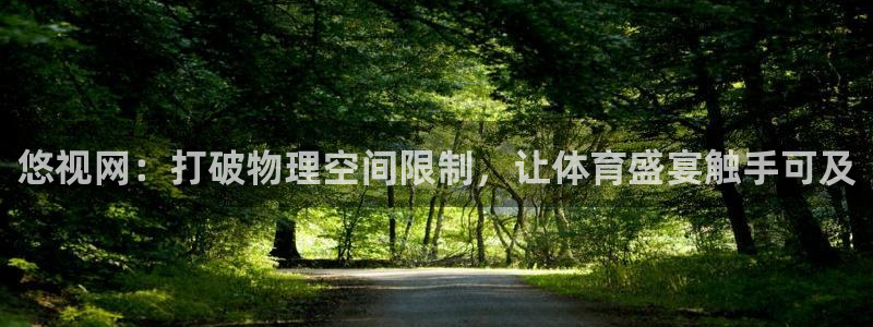 悠视网：打破物理空间限制，让体育盛宴触手可及